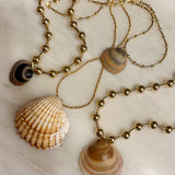 Cleo Seashell Necklace