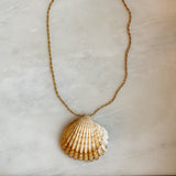 Cleo Seashell Necklace