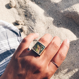 Samuel Ring - Abalone