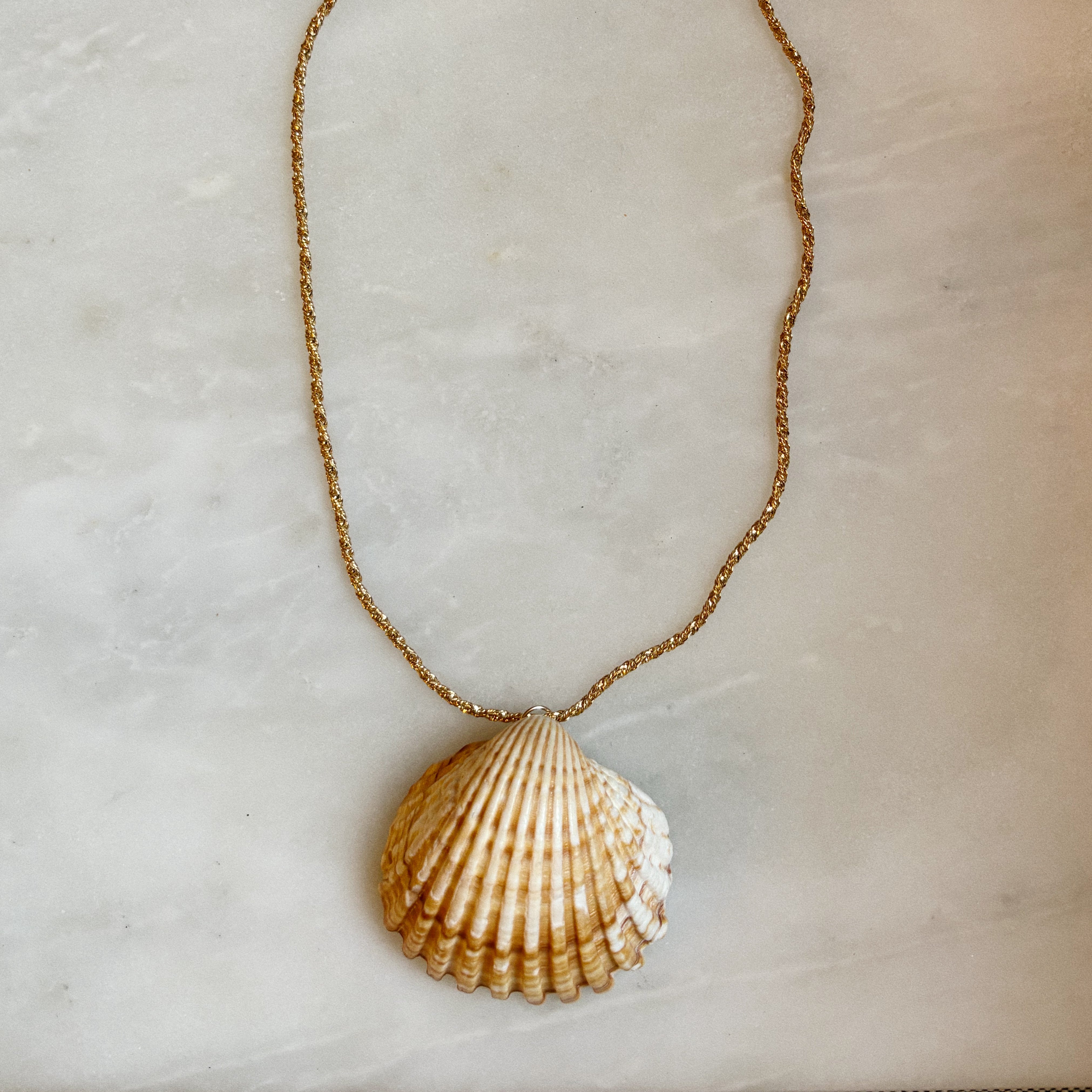 Cleo Seashell Necklace